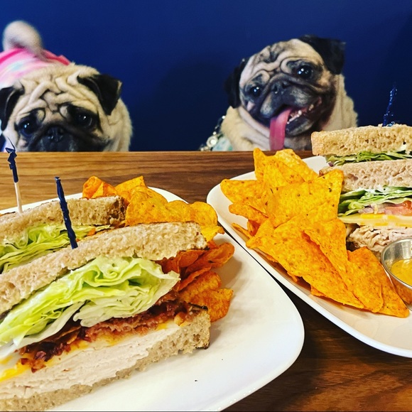 Meet your Posher’s, CHAI & ABIGAIL! - Picture 5 of 12